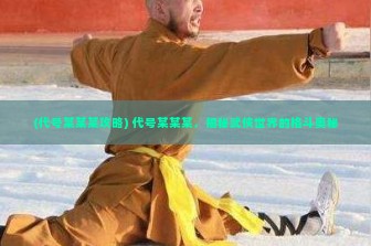 (代号某某某攻略) 代号某某某，揭秘武侠世界的格斗奥秘