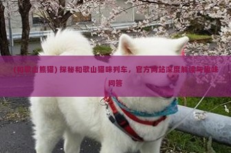 (和歌山熊猫) 探秘和歌山猫咪列车，官方网站深度解读与趣味问答