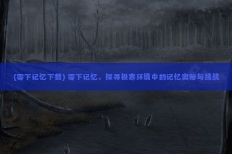 (零下记忆下载) 零下记忆，探寻极寒环境中的记忆奥秘与挑战